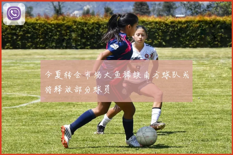 今夏转会市场大鱼稀缺南方球队或将释放部分球员